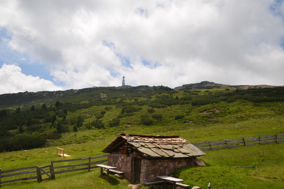 Latschenoelbrennerei und Platzer Alm 09.07.2019